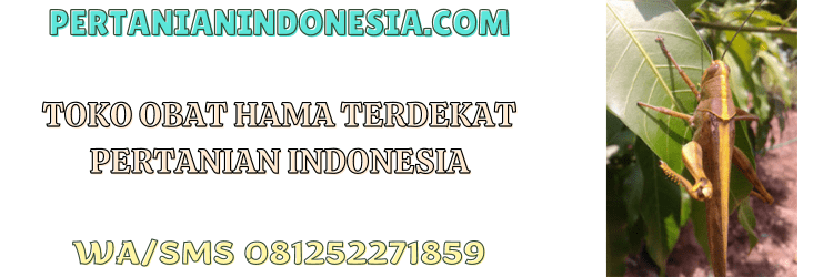 toko,obat,hama,terdekat,toko obat hama